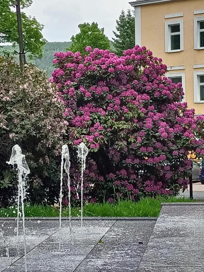 Pasja Swieradow-Zdroj Exterior foto